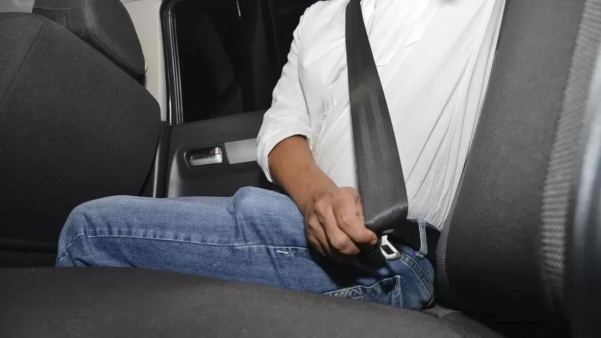 Rear Seat Belt Alarms