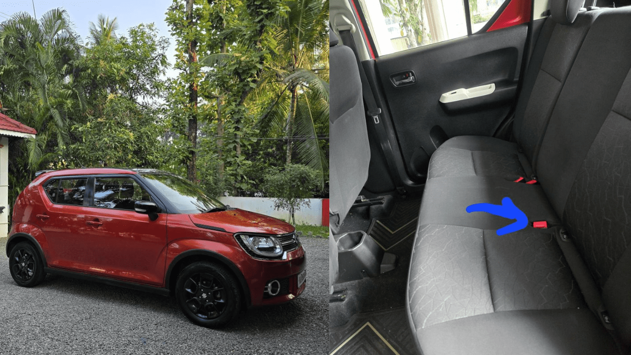 Snake Encounter in Maruti Suzuki Ignis