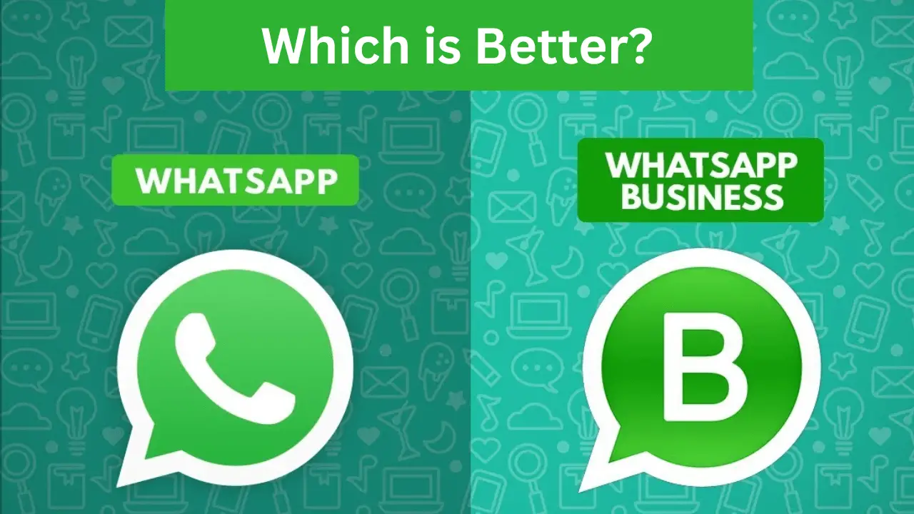 whatsapp business vs whatsapp: which is better- Explained (2024)